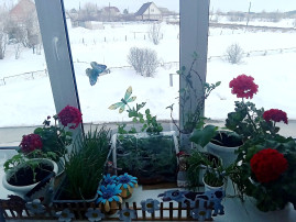 Огород на подоконнике Огород на подоконнике.